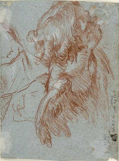 Study for (detail): Head of a Cherub by Giambattista Tiepolo