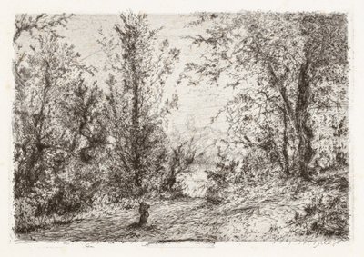 Forest on Lago Maggiore by Giberto Borromeo