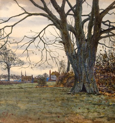 The Ancient Tree by Gilbert Baird Fraser