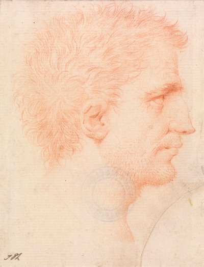 Head of a Man with Stubble Beard, Facing Right by Giles Hussey