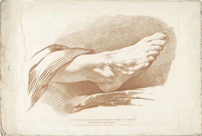 Study of Right Foot by Gilles Demarteau