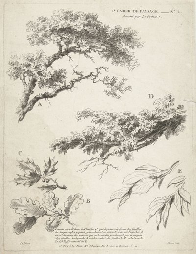 Study of Branches with Leaves (1st Book of Landscape) by Gilles Demarteau