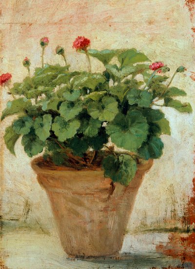 Vase with Geranium by Gioacchino Toma