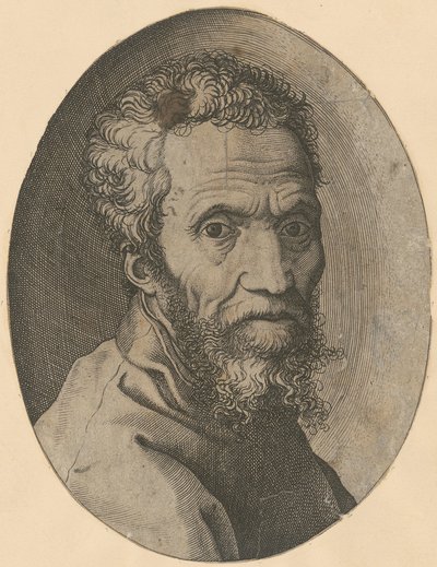 Portrait of Michelangelo by Giorgio Ghisi