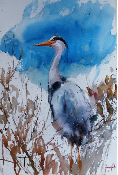 Blue Heron Watercolor by Giorgio Gosti