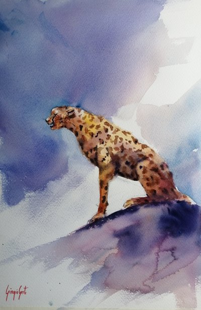 Cheetah on Rock by Giorgio Gosti