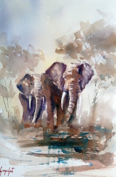 Safari Elephant Reflections by Giorgio Gosti