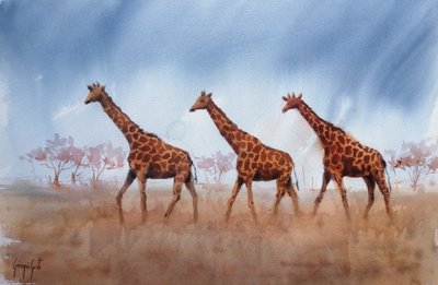 Safari Giraffe Trio by Giorgio Gosti