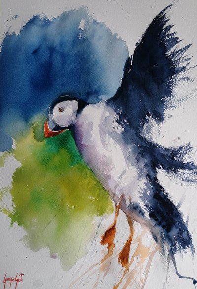 Vibrant Puffin Flight by Giorgio Gosti