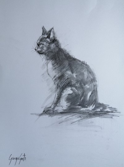 Watchful Charcoal Cat by Giorgio Gosti