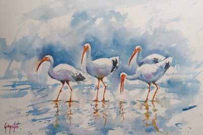 White Ibis Reflections by Giorgio Gosti