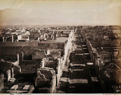Aerial view of the archaeological site of Pompeii by Giorgio Sommer
