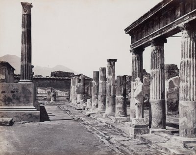 Eastern Colonnade of the Temple of Venus Pompeiiana in Pompeii by Giorgio Sommer