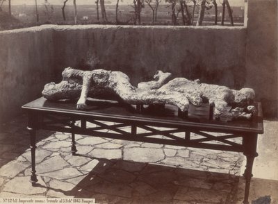 Human Casts, Pompeii by Giorgio Sommer