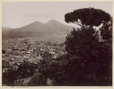 Naples panorama by Giorgio Sommer