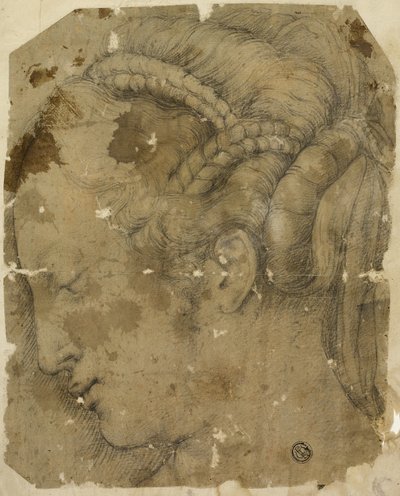 Female Head in Profile to Left by Giorgio Vasari