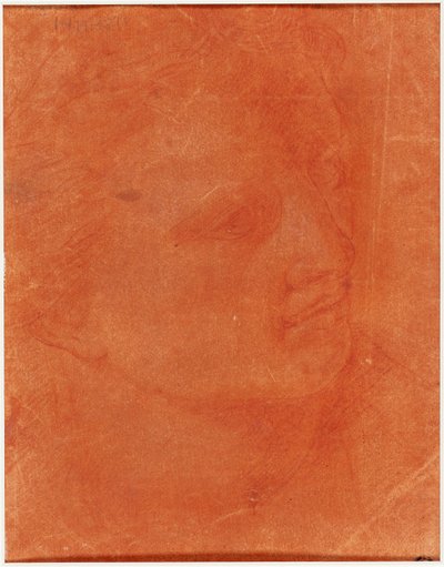 Head in Three-Quarter Profile (recto); Standing Young Man Pointing Left and Sketches of Feet, Arm (verso) by Giorgione