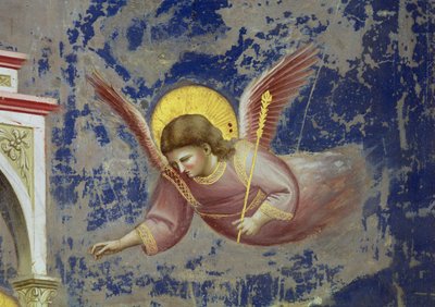Angel, from the Presentation of Christ in the Temple, c.1305 (detail) by Giotto (c.1266 1337)