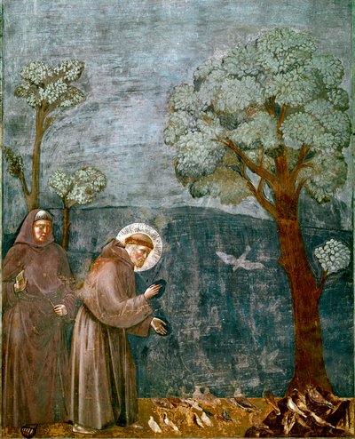 Episode of the life of Saint Francis of Assisi: The preaching to the birds by Giotto (c.1266 1337)