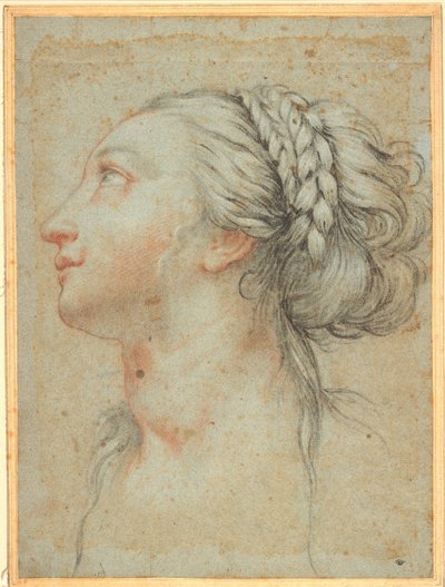 Head of a Young Woman in Profile to the Left by Giovan Battista Vanni