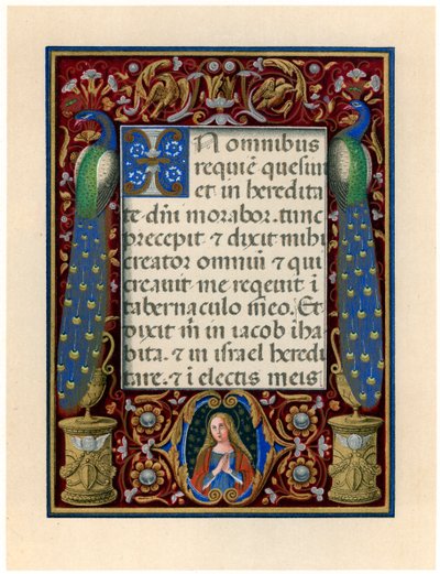 Text page with the Virgin and two peacocks, c1490 by Giovan Pietro Birago