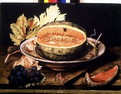 Watermelon with Fly by Giovanna Garzoni