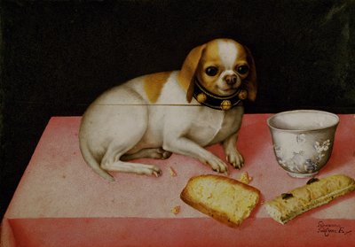 Portrait of a Dog by Giovanna Garzoni