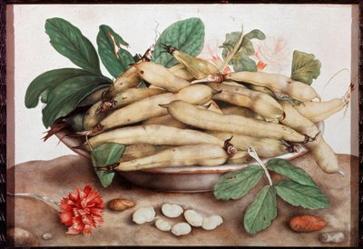 Still Life with Bean Plate by Giovanna Garzoni by Giovanna Garzoni