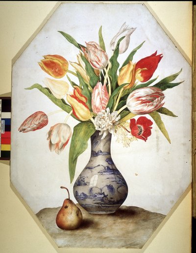 Unknown Image by Giovanna Garzoni