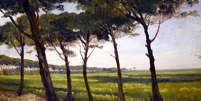 A Line of Old Pines by Giovanni Costa