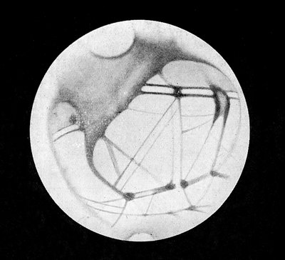 The Double Canals of Mars, after Giovanni Virginio Schiaparelli, in 