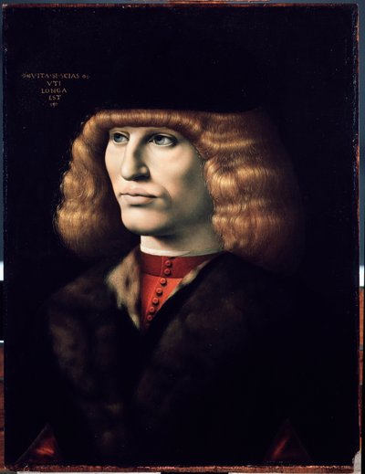 Portrait of Young Man, circa 1495 by Giovanni Ambrogio de Predis