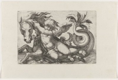 Putto Riding a Seahorse by Giovanni Andrea Maglioli