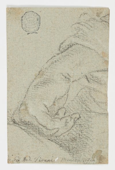 Study: A Left Hand in a Leaning Position, ca. 1650 by Giovanni Andrea Sirani