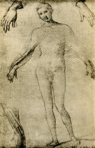 Model Study for a Virgin Mary as Mater Misericordiae by Giovanni Antonio Bazzi Sodoma