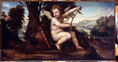 Landscape with Cupid by Giovanni Antonio Bazzi Sodoma