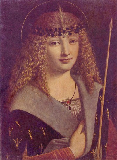 Portrait of a Boy as Saint Sebastian by Giovanni Antonio Boltraffio