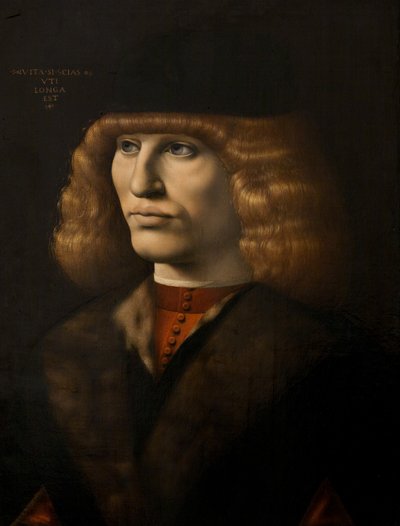 Portrait of a Young Man, c.1500 by Giovanni Antonio Boltraffio