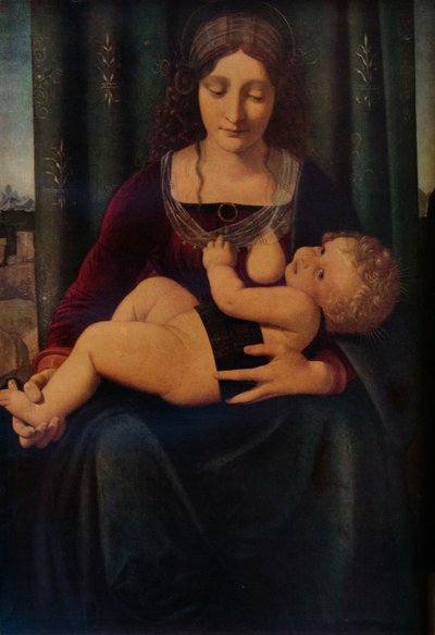 The Virgin and Child by Giovanni Antonio Boltraffio
