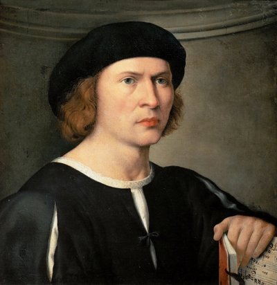 Portrait of a Musician by Giovanni Antonio Pordenone