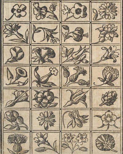 Example of Embroidery, page 10 verso, 1530 by Giovanni Antonio Tagliente