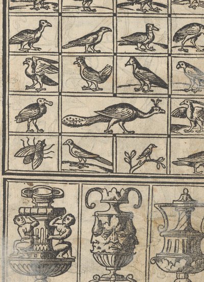 Example of Embroidery, Page 12 Recto by Giovanni Antonio Tagliente