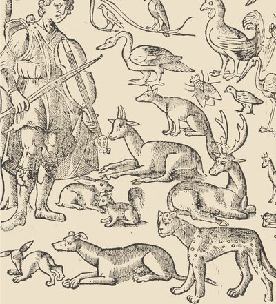 Essempio di Recammi, Page 12 Verso, 1530 by Giovanni Antonio Tagliente