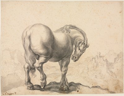 Study of a Stallion, First Third 18th Century by Giovanni Battista Foggini