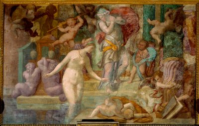 Venus at the Fountain by Giovanni Battista Rosso Fiorentino