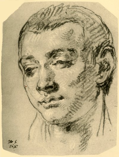 Head of a Boy by Giovanni Battista Tiepolo