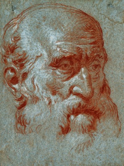 Head of a Venetian Patrician, Three-Quarter Face by Giovanni Battista Tiepolo
