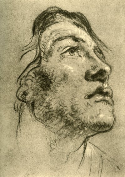 Head of a Young Man, almost in profile and looking up by Giovanni Battista Tiepolo