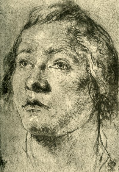 Head of a Young Man, mid 18th century by Giovanni Battista Tiepolo