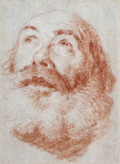 Head of an Old Man Looking Up by Giovanni Battista Tiepolo